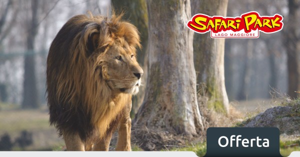 biglietti scontati zoo safari pombia
